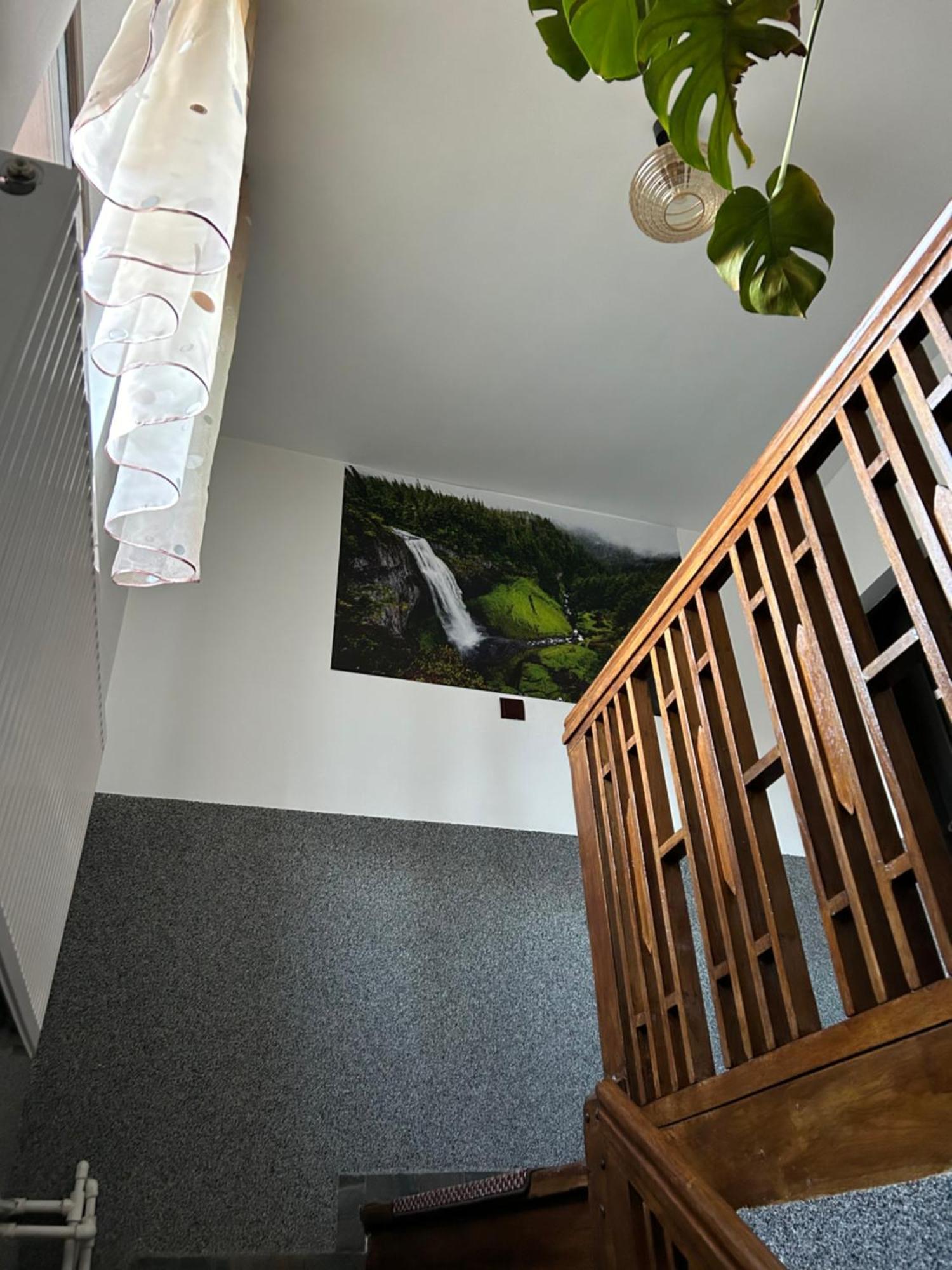 Casa Raraului Leilighet Câmpulung Moldovenesc Eksteriør bilde